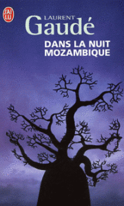 laurent-gaude-dans-la-nuit-mozambique